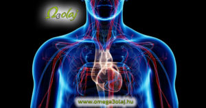 omega 3 szív érrendszer hatása